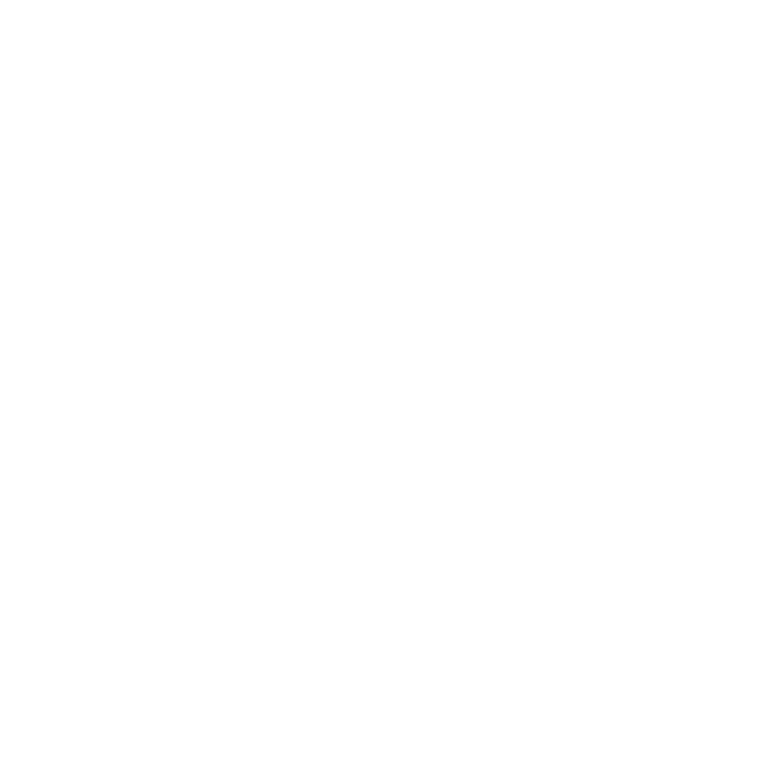 Brigada Misional